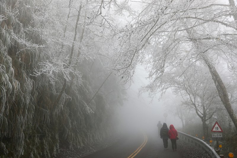 入冬首波寒流來襲，海拔約1900公尺的宜蘭太平山國家森林遊樂區31日中午11時許天空飄下冰霰，沿途道路旁山林結滿霧淞，山間風景一片雪白，美不勝收。