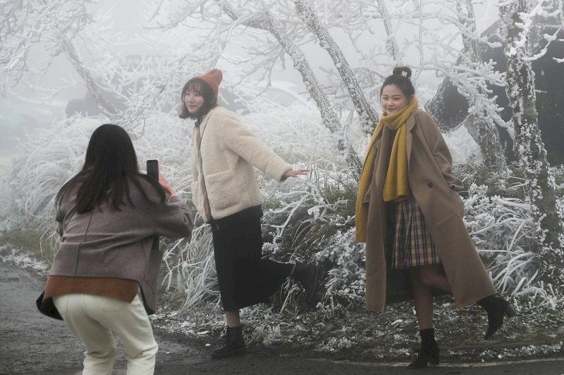 寒流來襲，宜蘭縣太平山國家森林遊樂區沿線山林結滿霧淞，銀白景致吸引許多遊客拍照留念。
