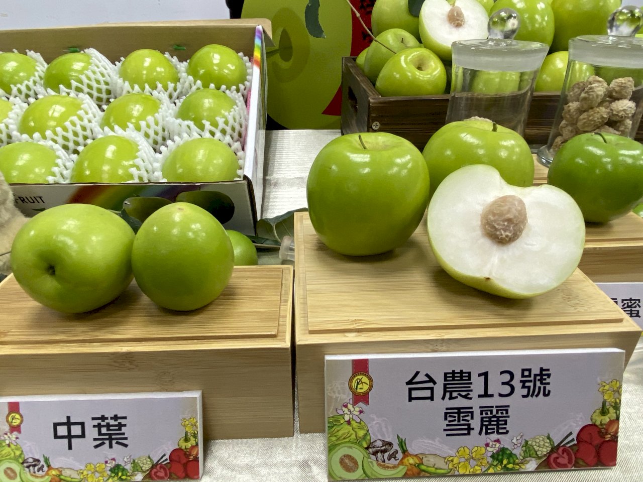 這種水果得出動警察防竊 迎春新品種「雪麗」棗來報到(影音)