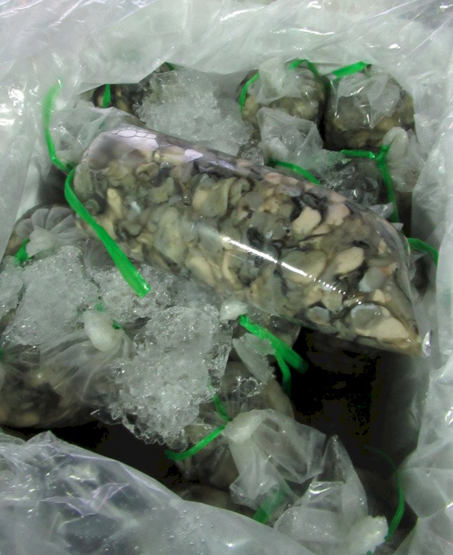 春節前注意食安 越南進口生蚵再驗出諾羅、A肝病毒