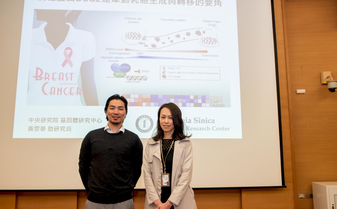乳癌為何增生移轉?中研院發現蛋白質DSG2含量是要角 登國際期刊