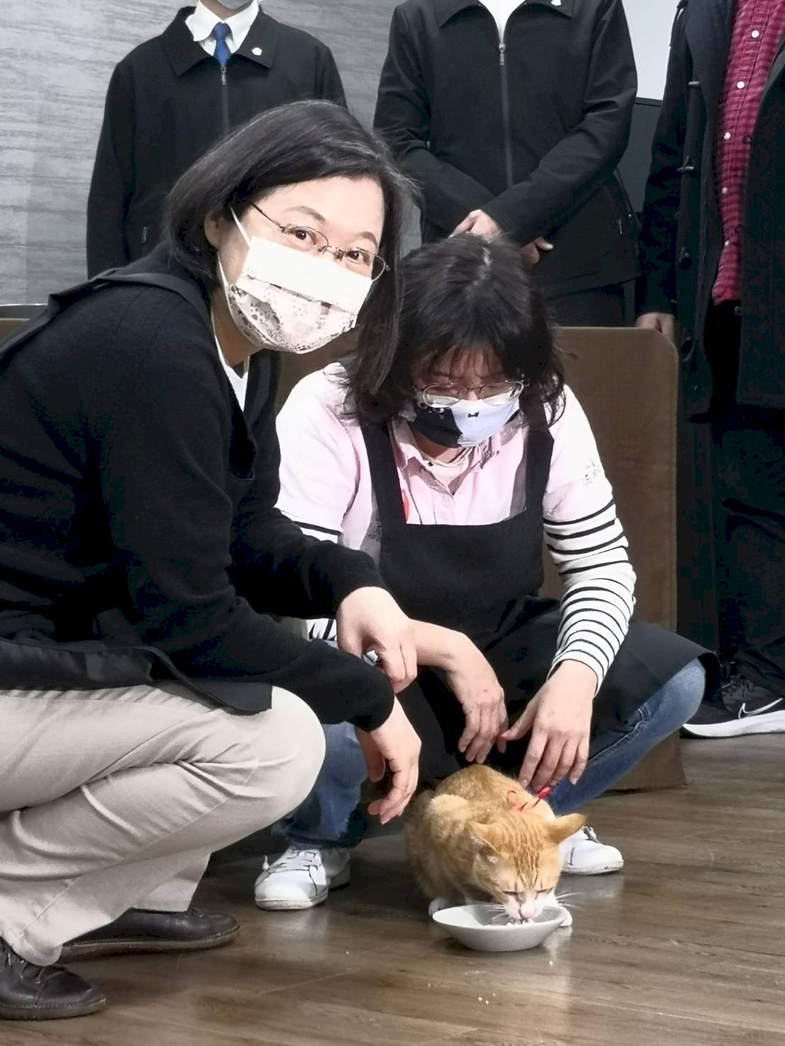 總統級年夜飯 毛小孩為小英大廚打分數