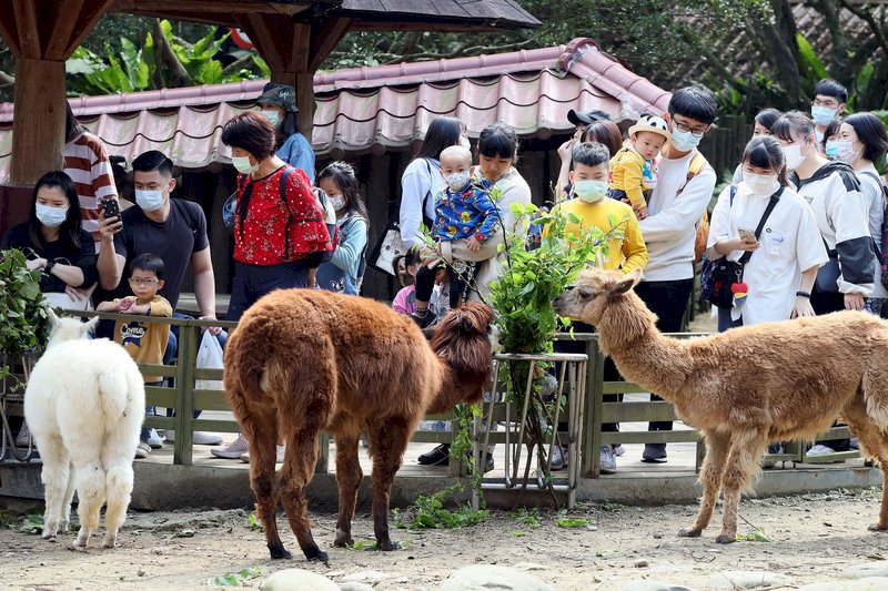 二二八連假最後一天，不少民眾1日把握好天氣帶著全家大小出遊，台北市立動物園一早就湧現人潮。 (圖：中央社)