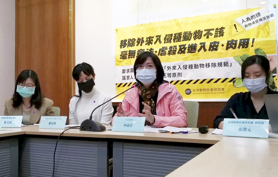 外來種動物被妖魔化動保團體揭發虐殺移除亂象 影音 新聞 rti 中央廣播電臺