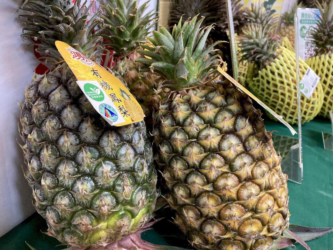 不容瑕疵毀台灣鳳梨名聲!銷星國出包無條件重新供貨