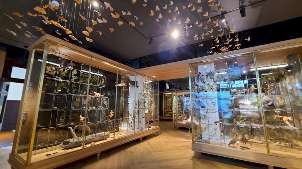 台博館更新常設展 「博物台灣」訴說寶島文化、生態多樣性