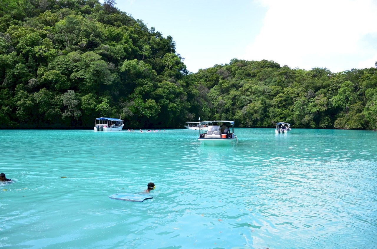 帛琉旅遊泡泡啟動 立委：重拾觀光業信心