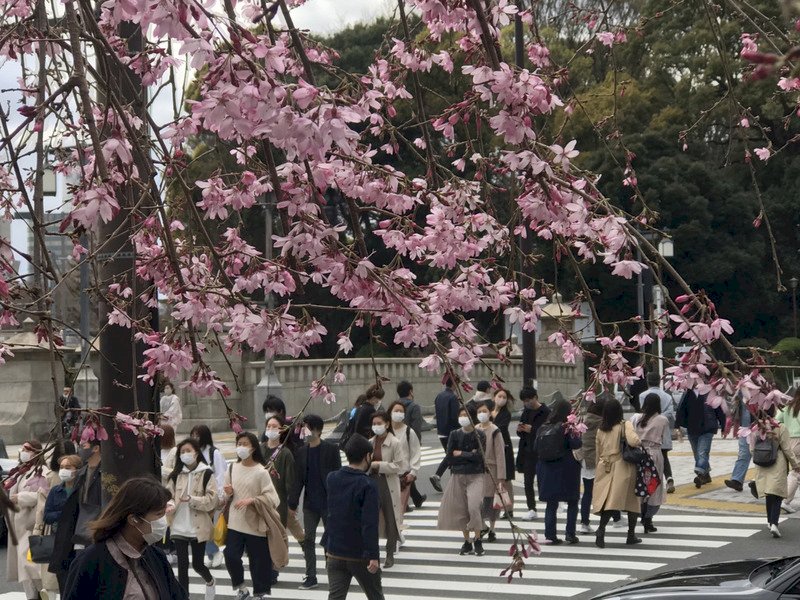 日本疫情趨緩 多地新增病例低於百例