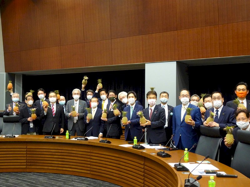 日執政黨次團通過深化台日友好決議 推廣鳳梨挺台