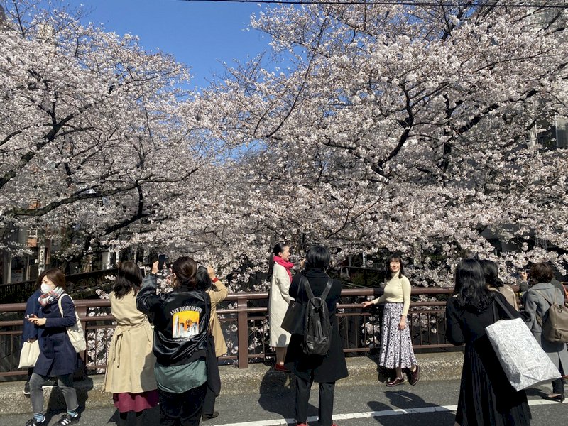 疫情未歇!日本振興國旅方案難全國重啟