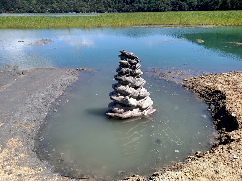 水位持續升高！日月潭九蛙終於喝到水了(影音)