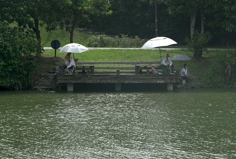 西南風影響 苗栗以南10縣市豪大雨特報