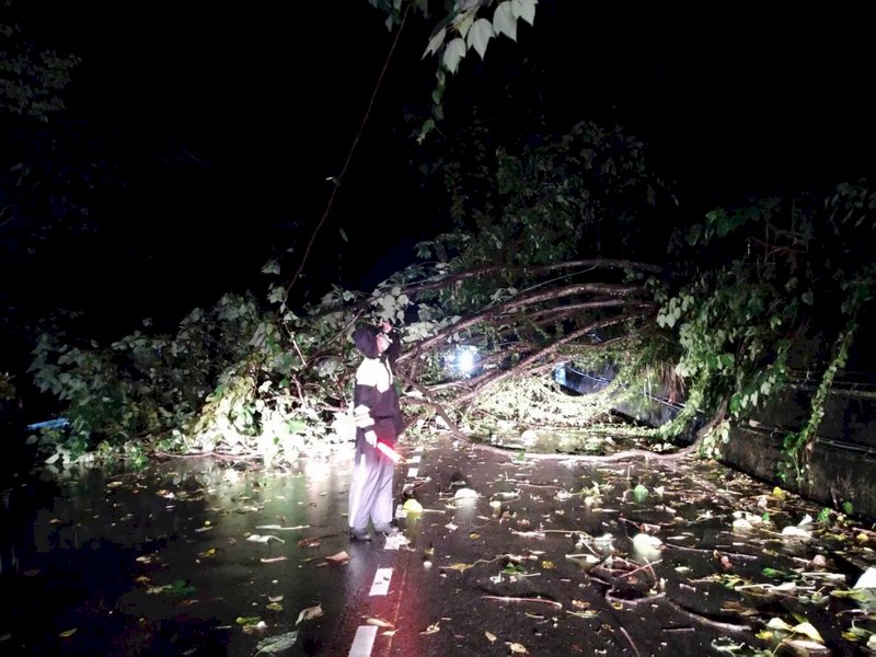 豪雨影響仍有逾8000戶停電 台電持續搶修