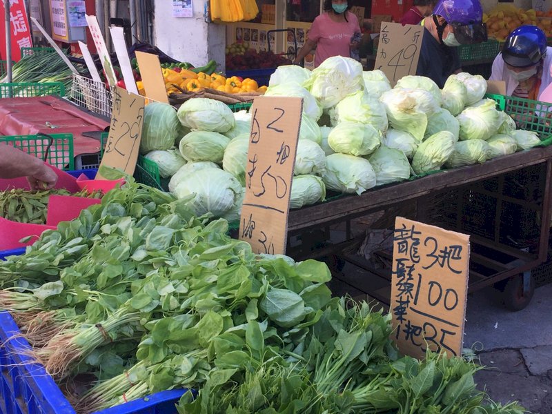 菜價再創今年新高 高麗菜1顆破百元