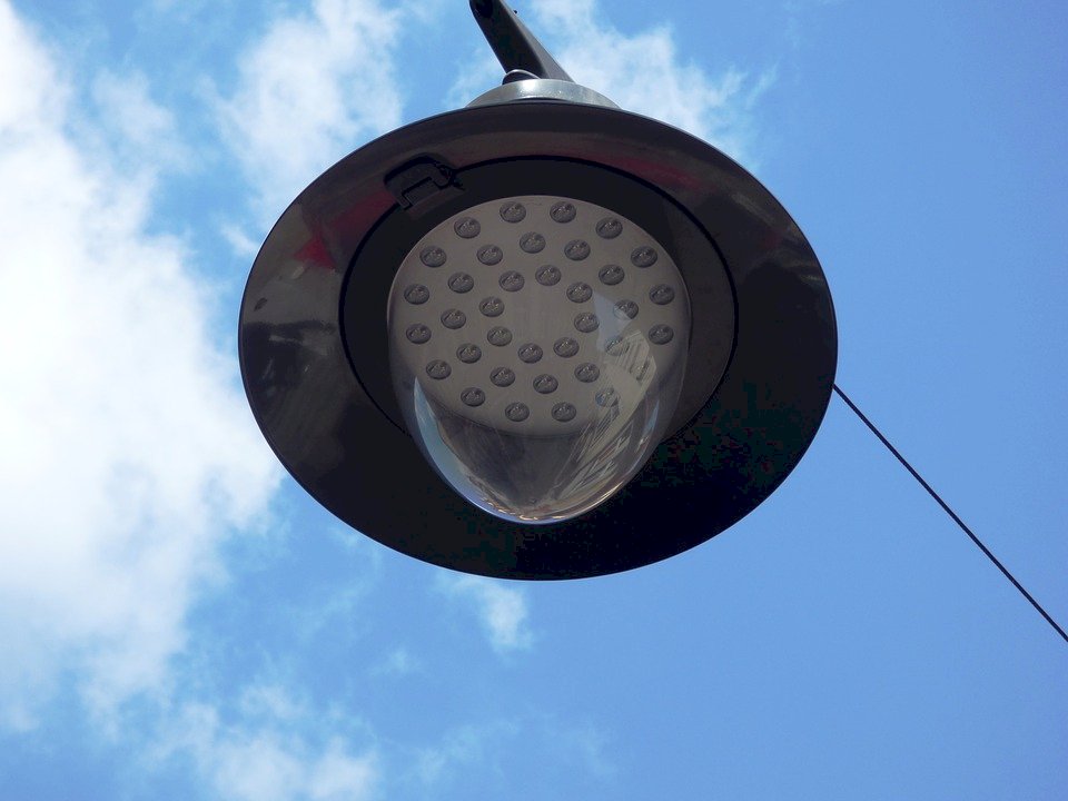 研究:LED路燈光害致昆蟲數量銳減