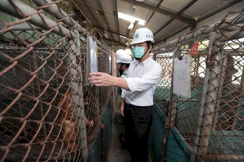 基隆收容流浪動物 打造浪浪豪宅2022年5月啟用