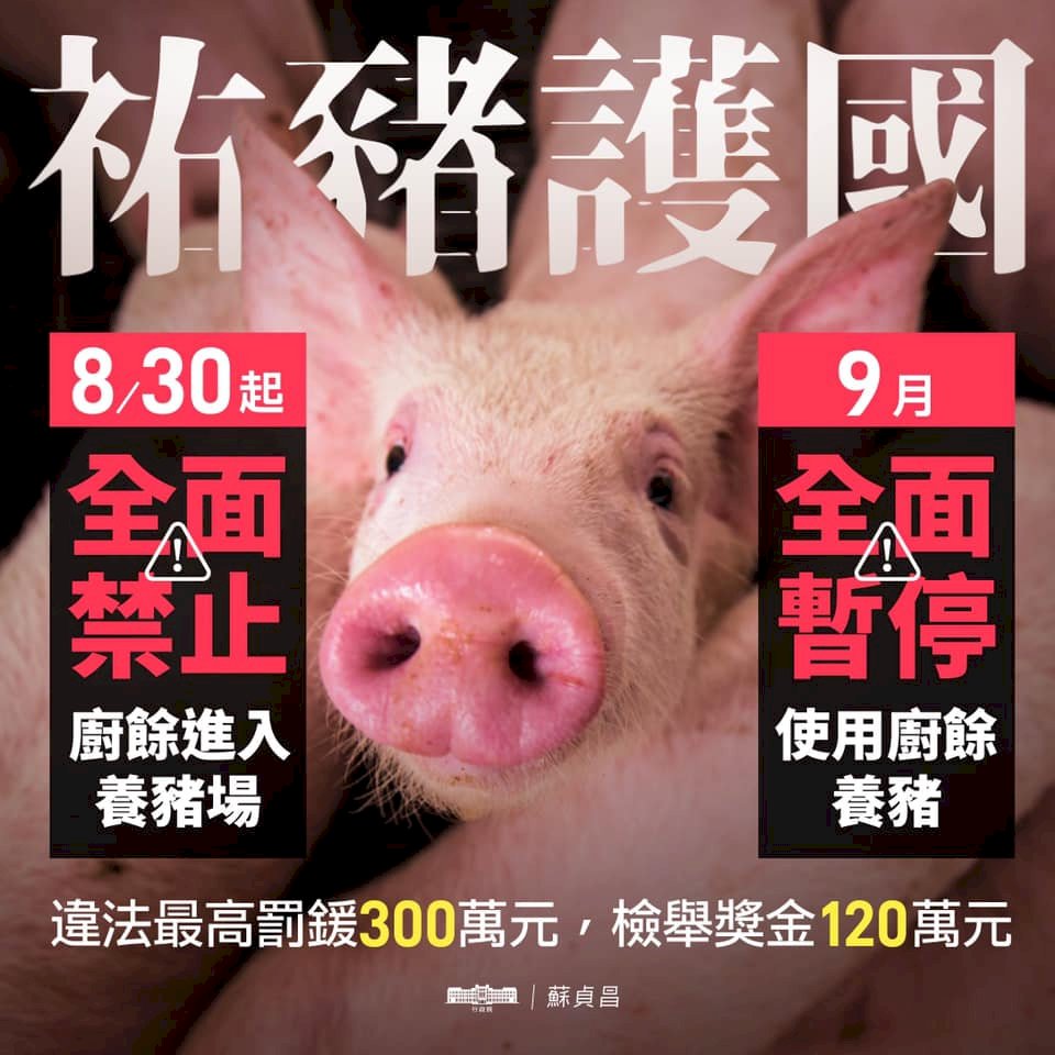 防堵非洲豬瘟入台 蘇揆:9月禁廚餘養豬 最高罰300萬