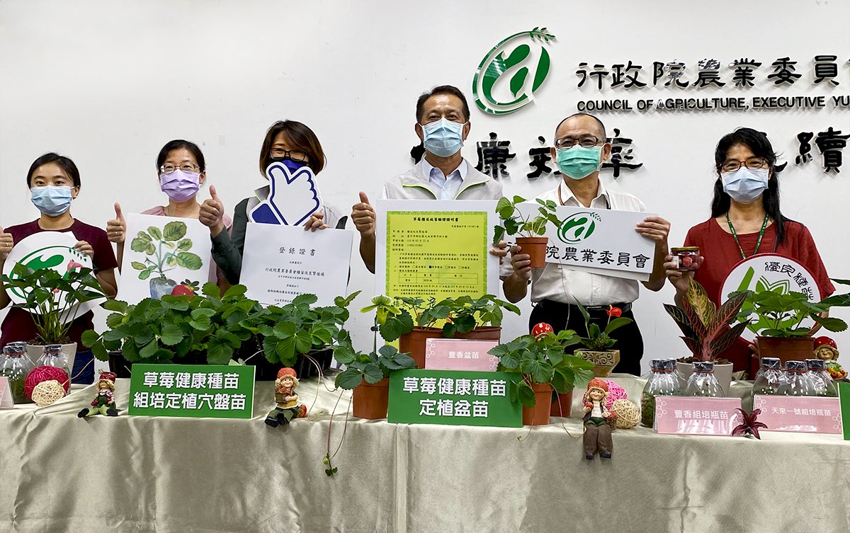 水果皇后栽培有護城衛兵 草莓健康種苗生產體系誕生(影音)