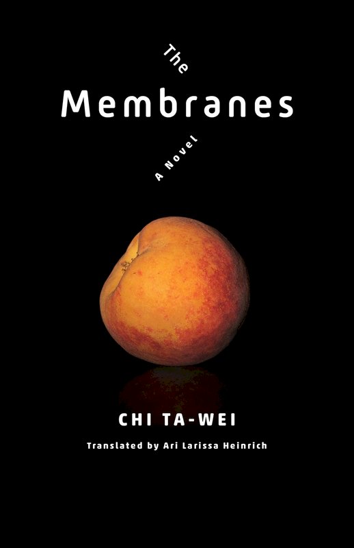 酷兒小說「膜」英譯本出版 紀大偉將與譯者對話