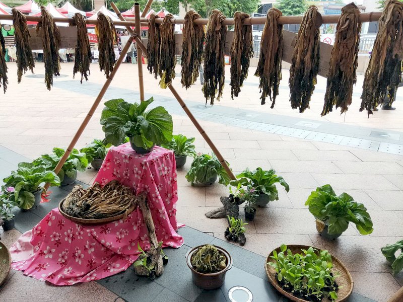 陽光與時光孕育出的客家滋味