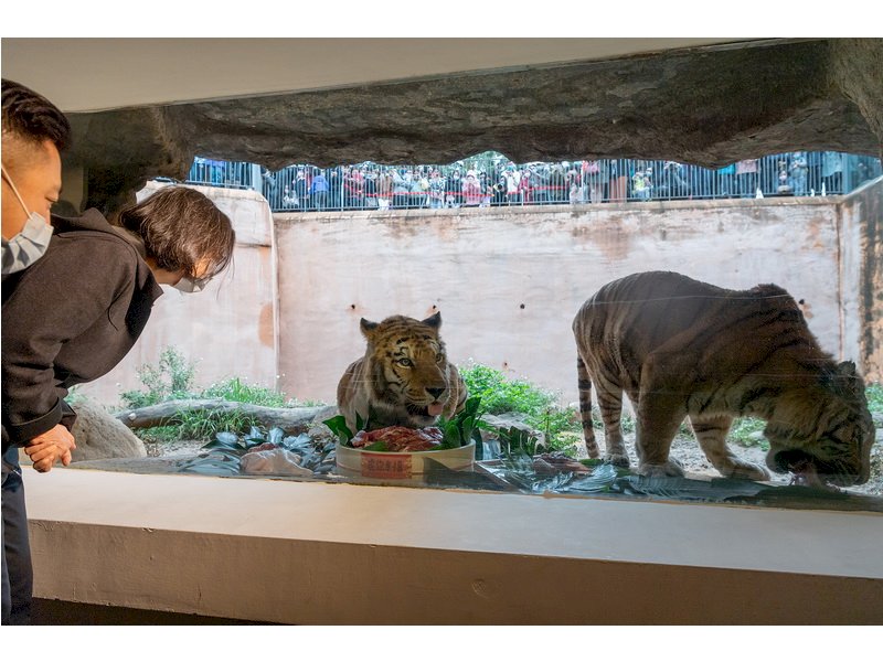 總統慰勉新竹市立動物園飼育員肯定推廣生態教育 新聞 Rti 中央廣播電臺