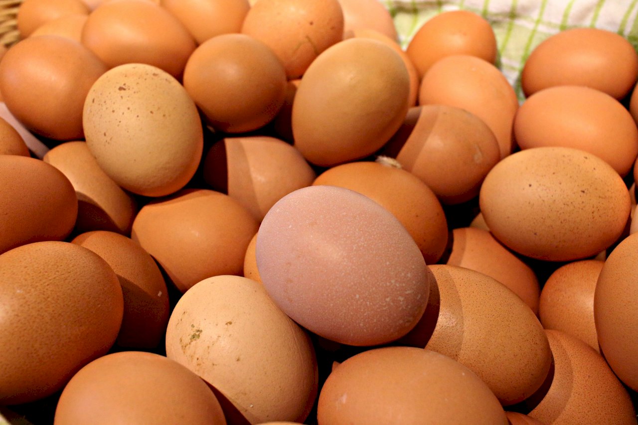 蛋、食用油價飆外食費漲幅近14年新高 7月CPI年增3.63%