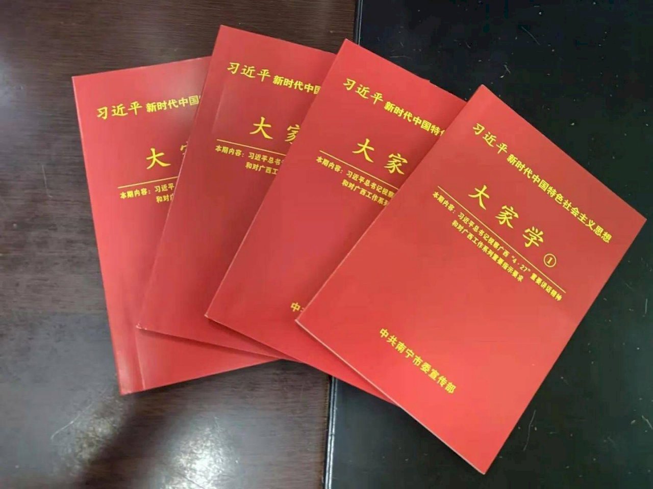 近期中國大陸政治與社會觀察