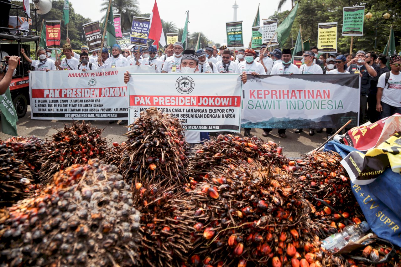 棕櫚油出口禁令傷收入 印尼農民發動示威抗議