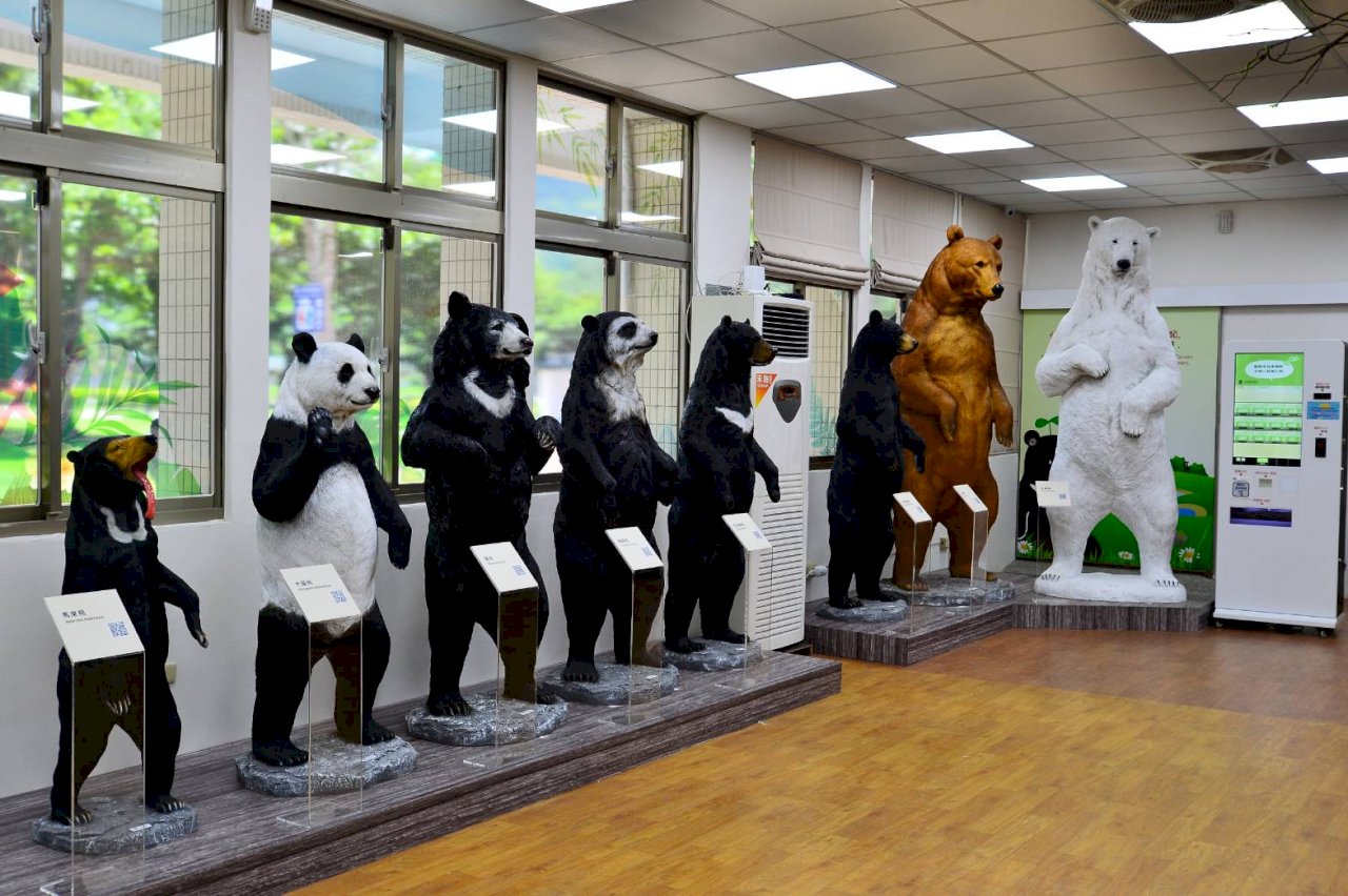 台灣黑熊教育館全新改裝大升級  一秒入山林滿滿熊宇宙   (影音)