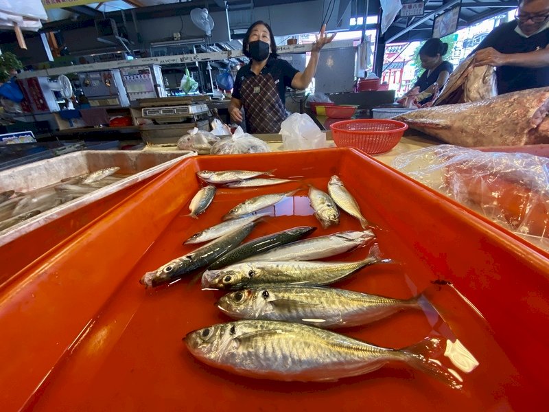 農委會：樂見中國恢復我白帶魚、竹筴魚進口
