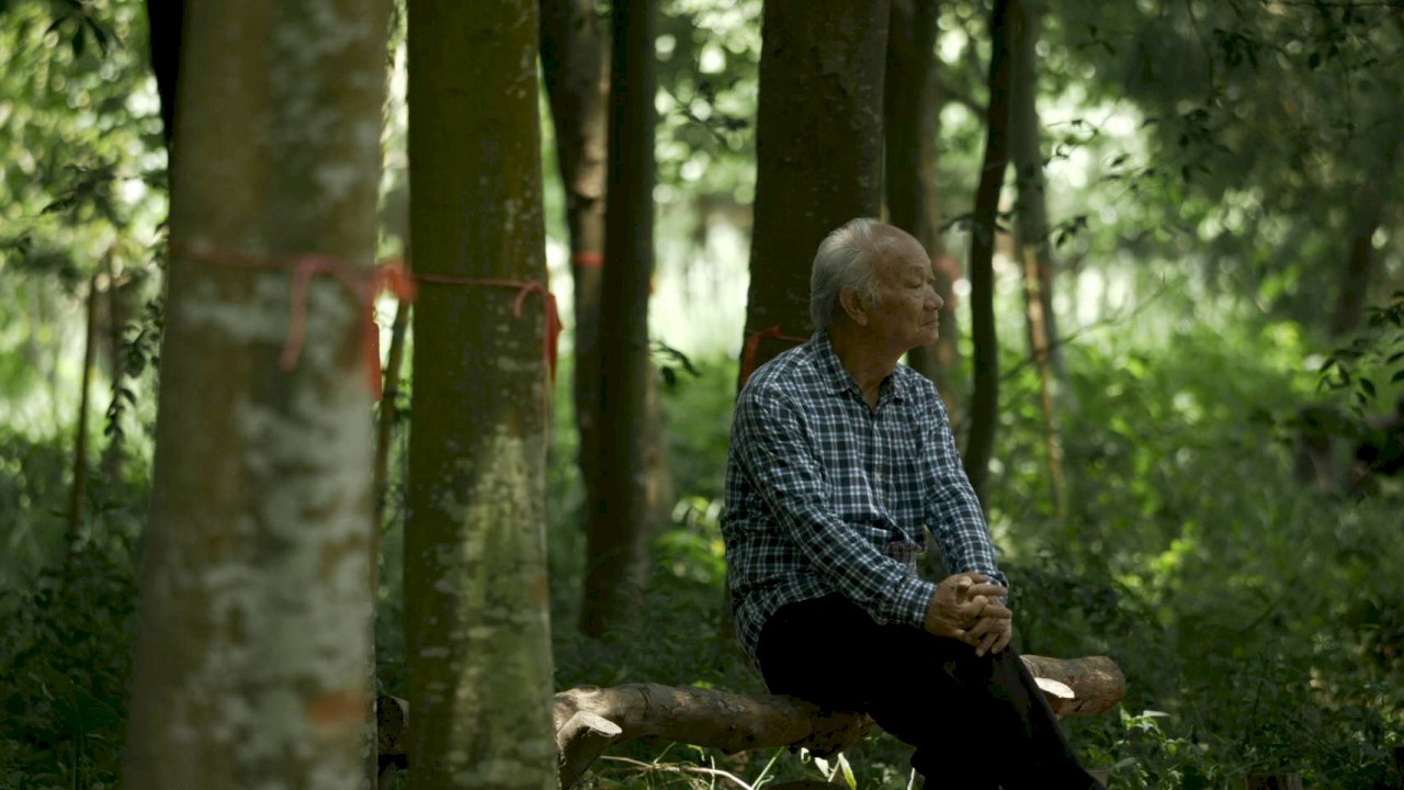 《他還年輕》─鄉村教師吳晟與避不開的政治風暴