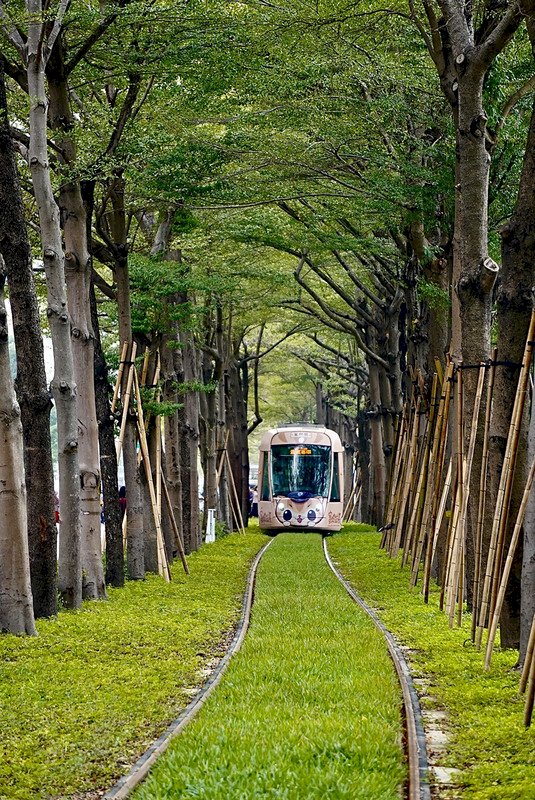 高雄輕軌龍貓隧道 由美術館玩到愛河之心