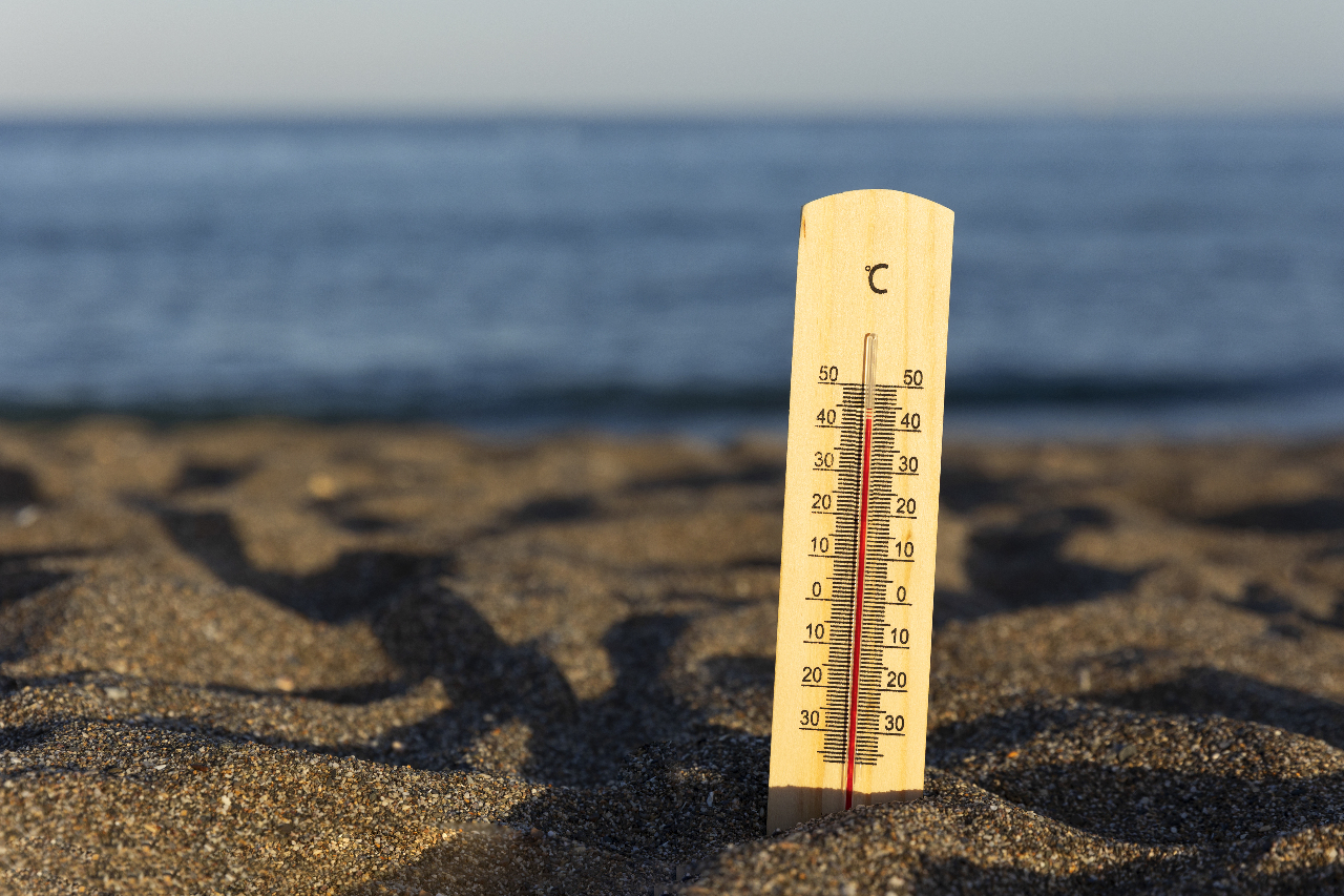 遇上海洋熱浪 紐西蘭南方水域比正常升溫攝氏6度