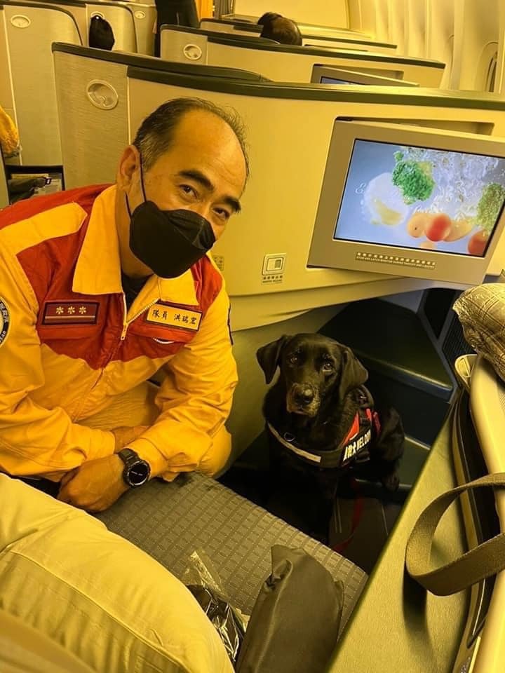 赴土國救災！ 台2隻搜救犬禮遇搭商務艙