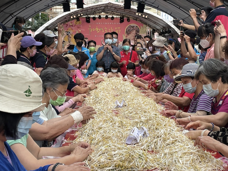 結合萬華地區民俗盛事的加蚋文化節將在4月29日登場，萬華區公所介紹，此次將正常舉辦「挽豆芽比賽」，並把比賽成果拿去烹煮後讓社區民眾一起品嘗。（萬華區公所提供）中央社記者陳昱婷傳真  112年3月23日 (圖：中央社)