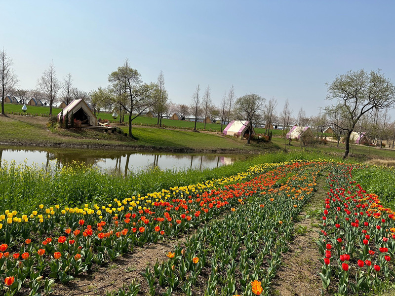 以環保帶動觀光 韓國順天庭園博覽會盛大登場