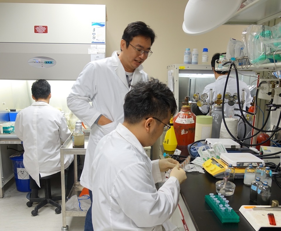 腸道菌會分解雄性激素 研究發現有望助治雄性禿