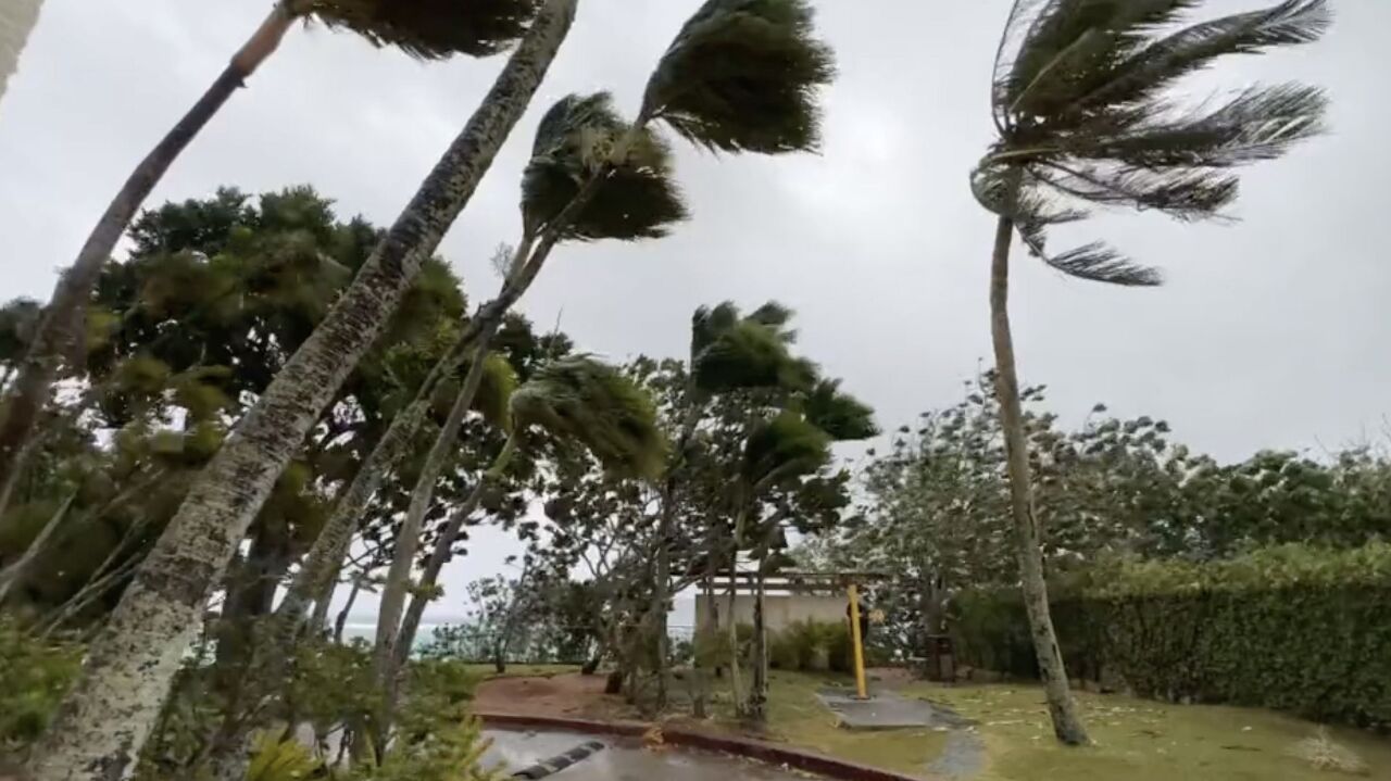 瑪娃襲關島115台客滯留 星宇派空機接返