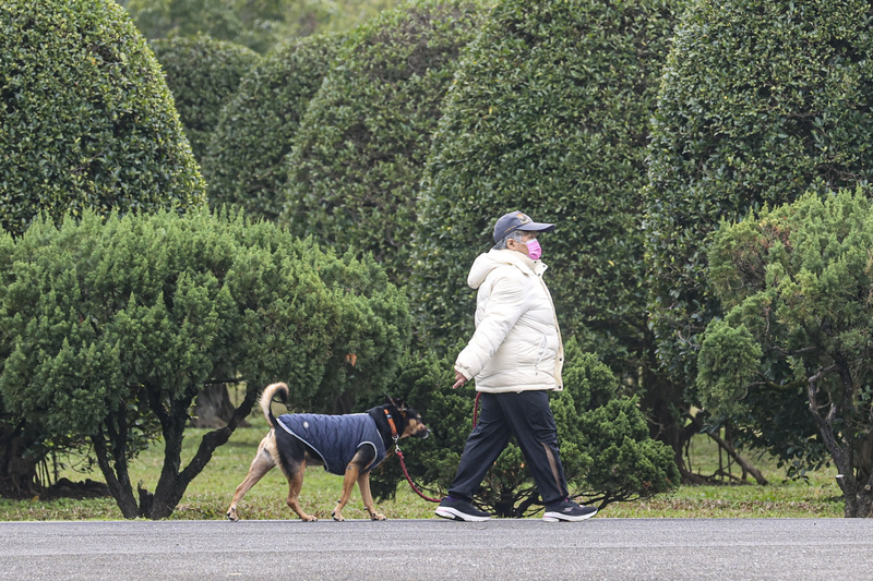 華南雲系東移雲多偶雨 白天舒適南部高溫26度
