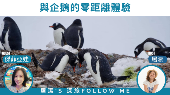深旅FOLLOW ME