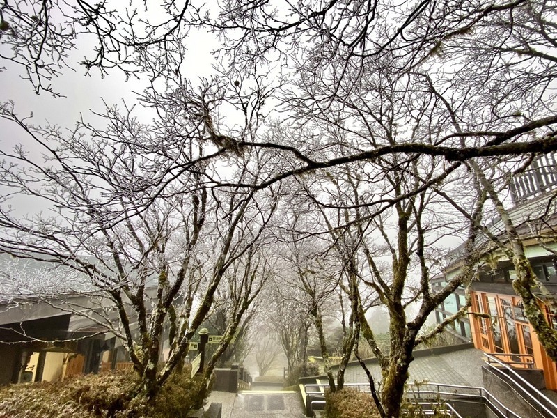 冷氣團來襲 太平山現銀白霧淞美景 合歡山短暫降冰霰