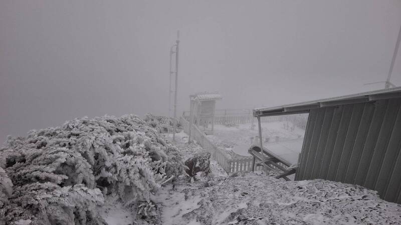 冷氣團發威 合歡山、玉山、梨山化身雪國