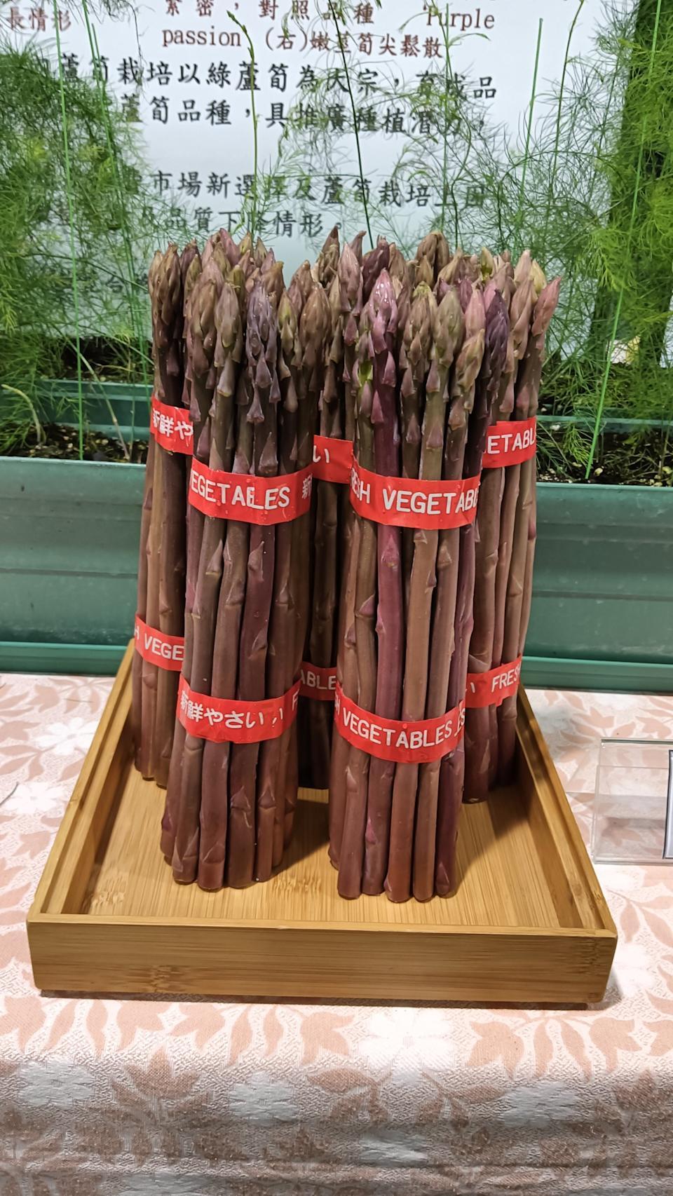 紅得發紫 台灣最新蘆筍育成