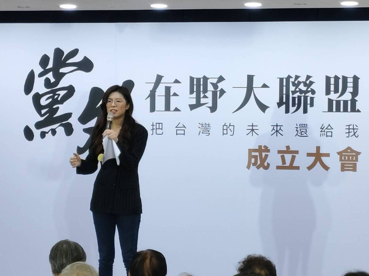 黨外在野大聯盟成立 鄭麗文：以黨外精神守護民主防線