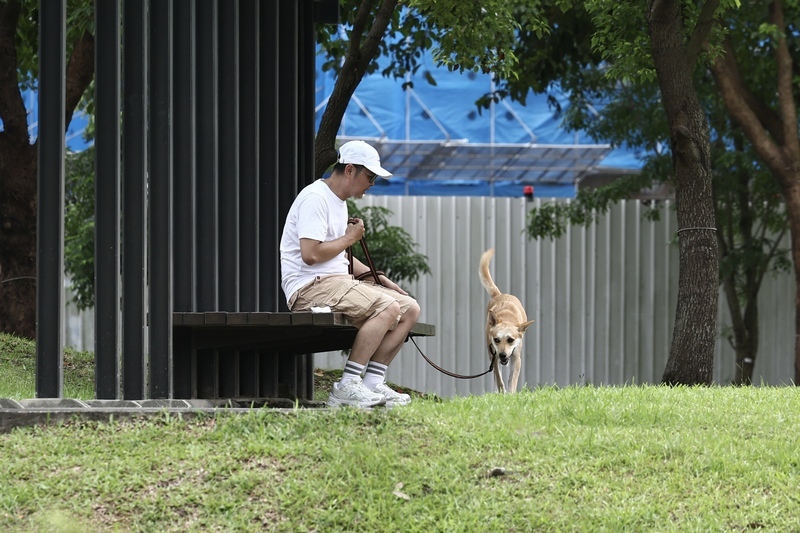 高溫炎熱水氣少 多地上看36度